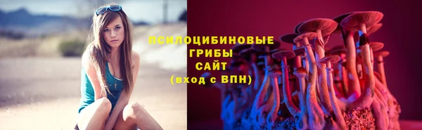 ALPHA PVP Михайловск