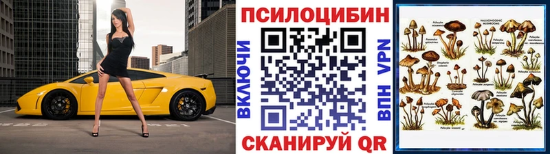 Галлюциногенные грибы Psilocybine cubensis  Химки 